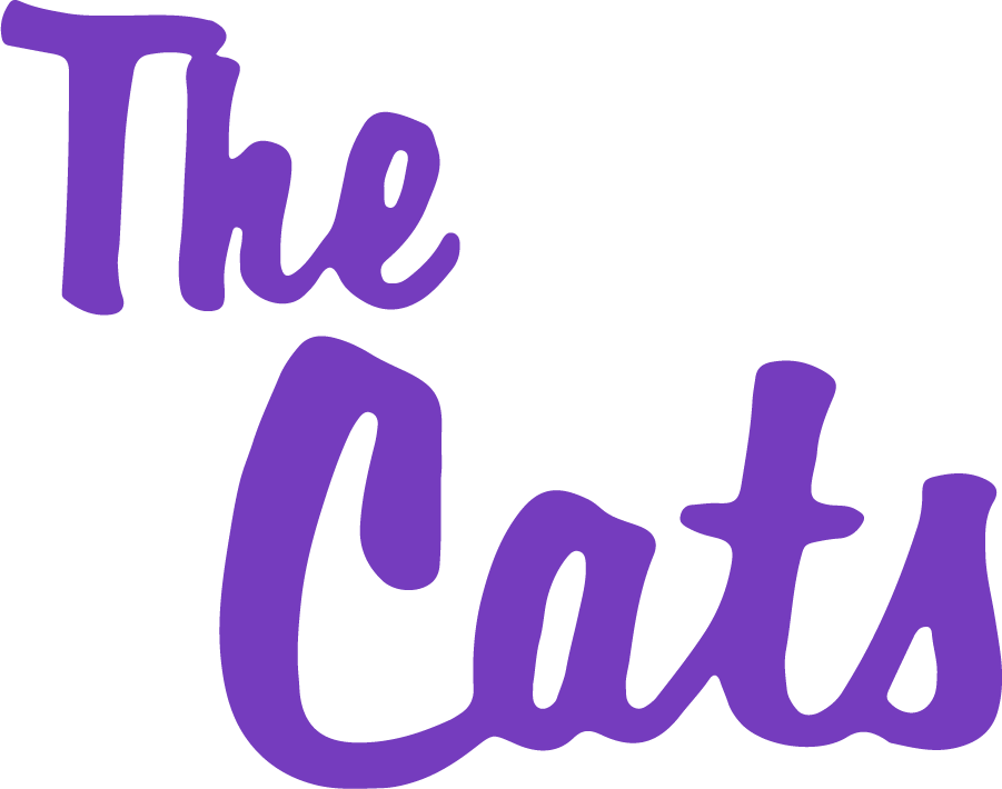 Western Carolina Catamounts 1971-1997 Secondary Logo DIY iron on transfer (heat transfer)